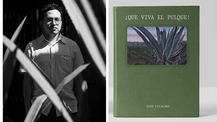 ¡Que viva el pulque!