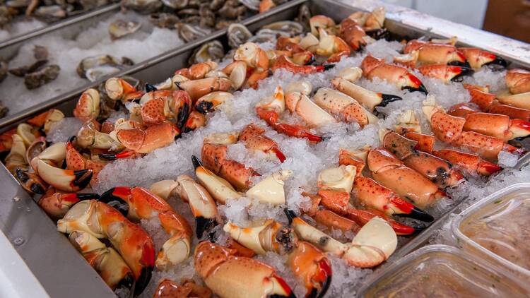 South Florida Seafood Festival South Florida Seafood Festival