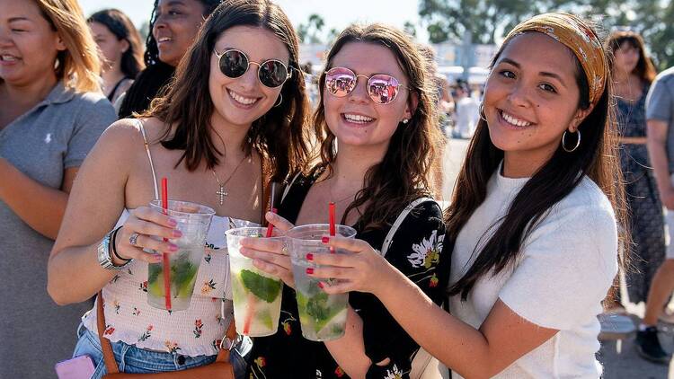 South Florida Seafood Festival South Florida Seafood Festival