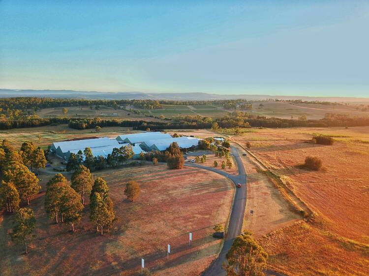 This family-owned winery just won NSW’s best wine for 2025