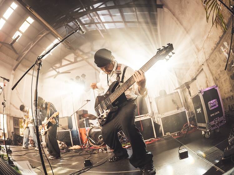 Join songwriting sessions pulling global talent together for proper intimate performances you'll actually remember