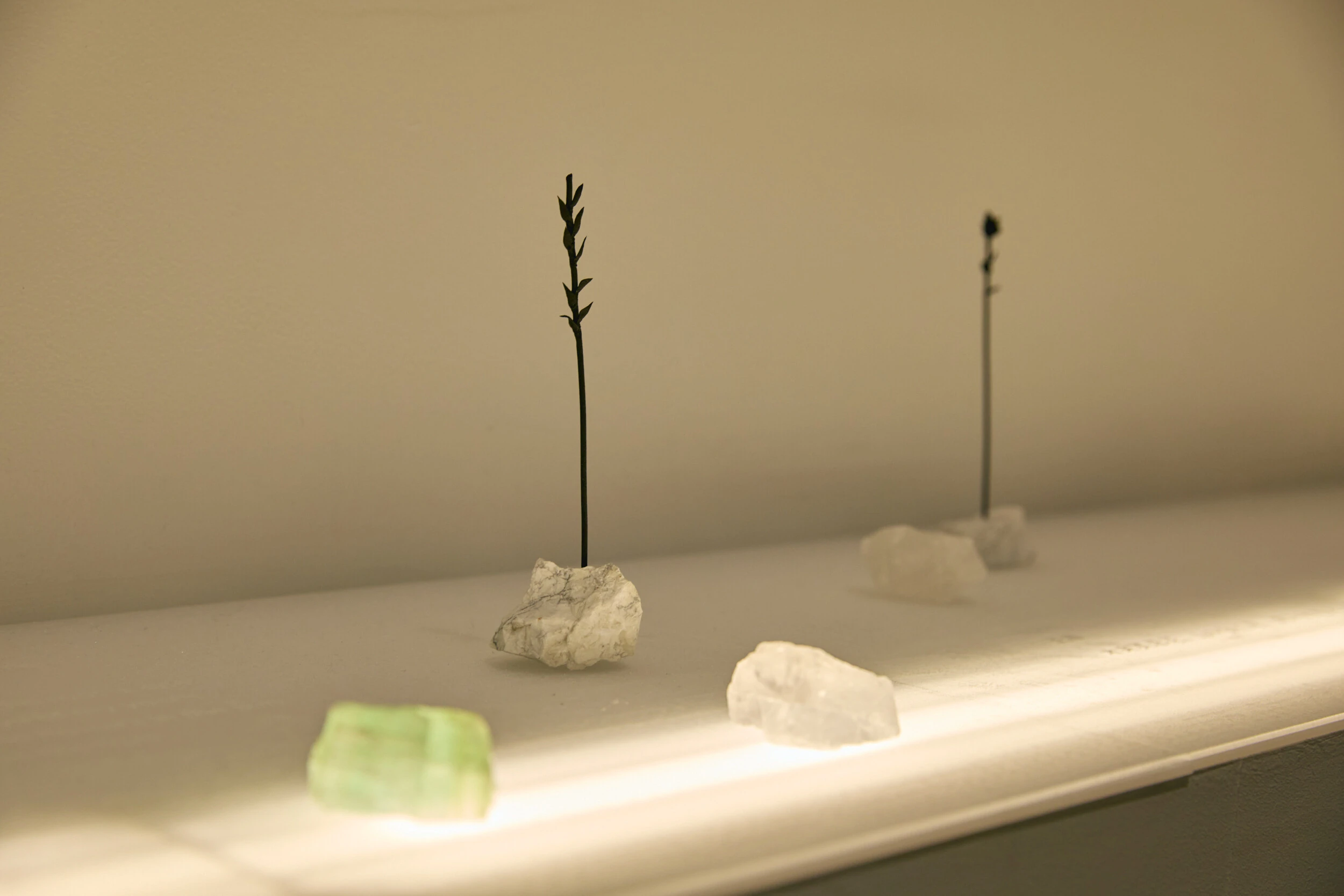 DESIGNART TOKYO 2025