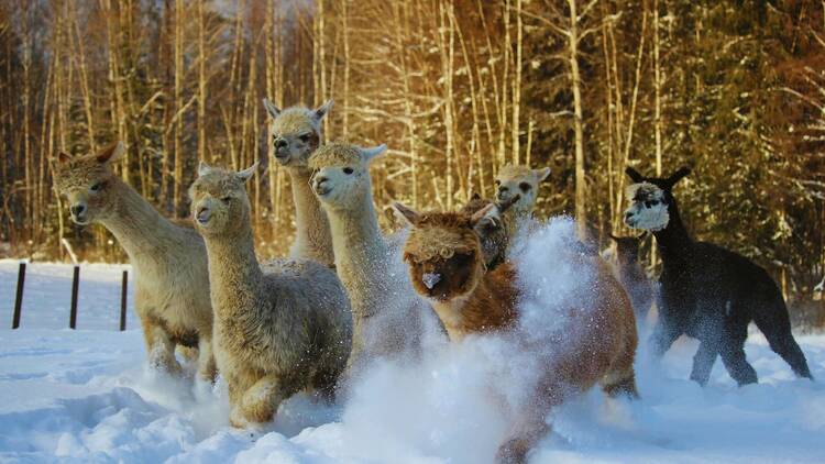 Best day trips from Helsinki that even locals swear by