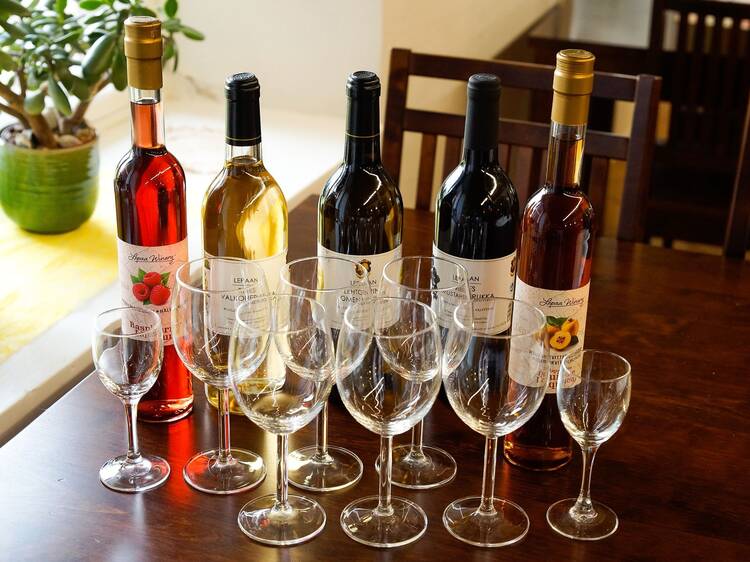 Taste Finnish berry wines in the countryside
