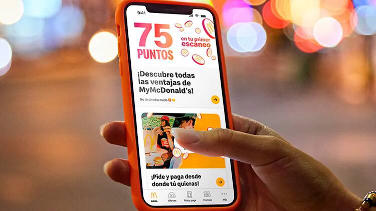 Un picnic al atardecer