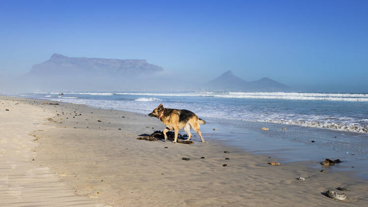 Sunrise Beach, Milnerton Sunrise Beach, Milnerton