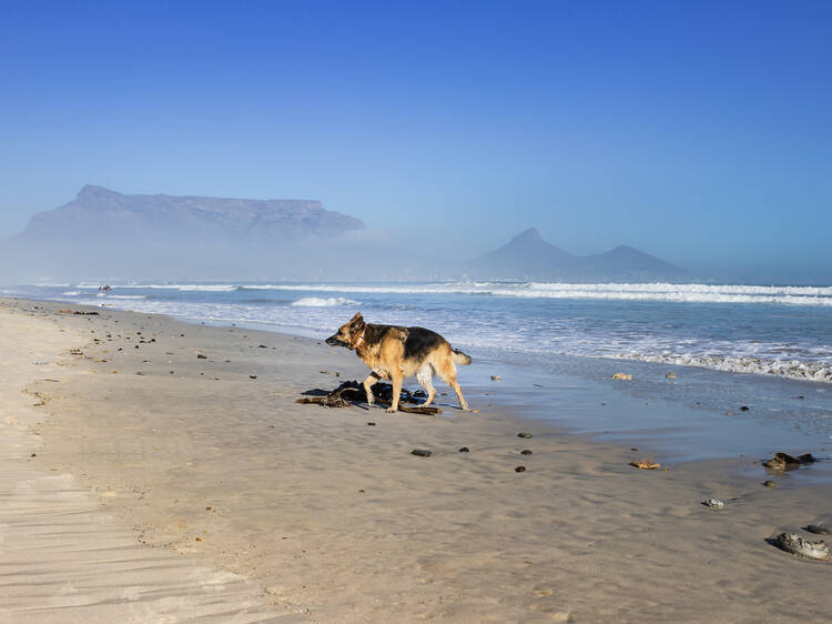 Sunrise Beach, Milnerton Sunrise Beach, Milnerton