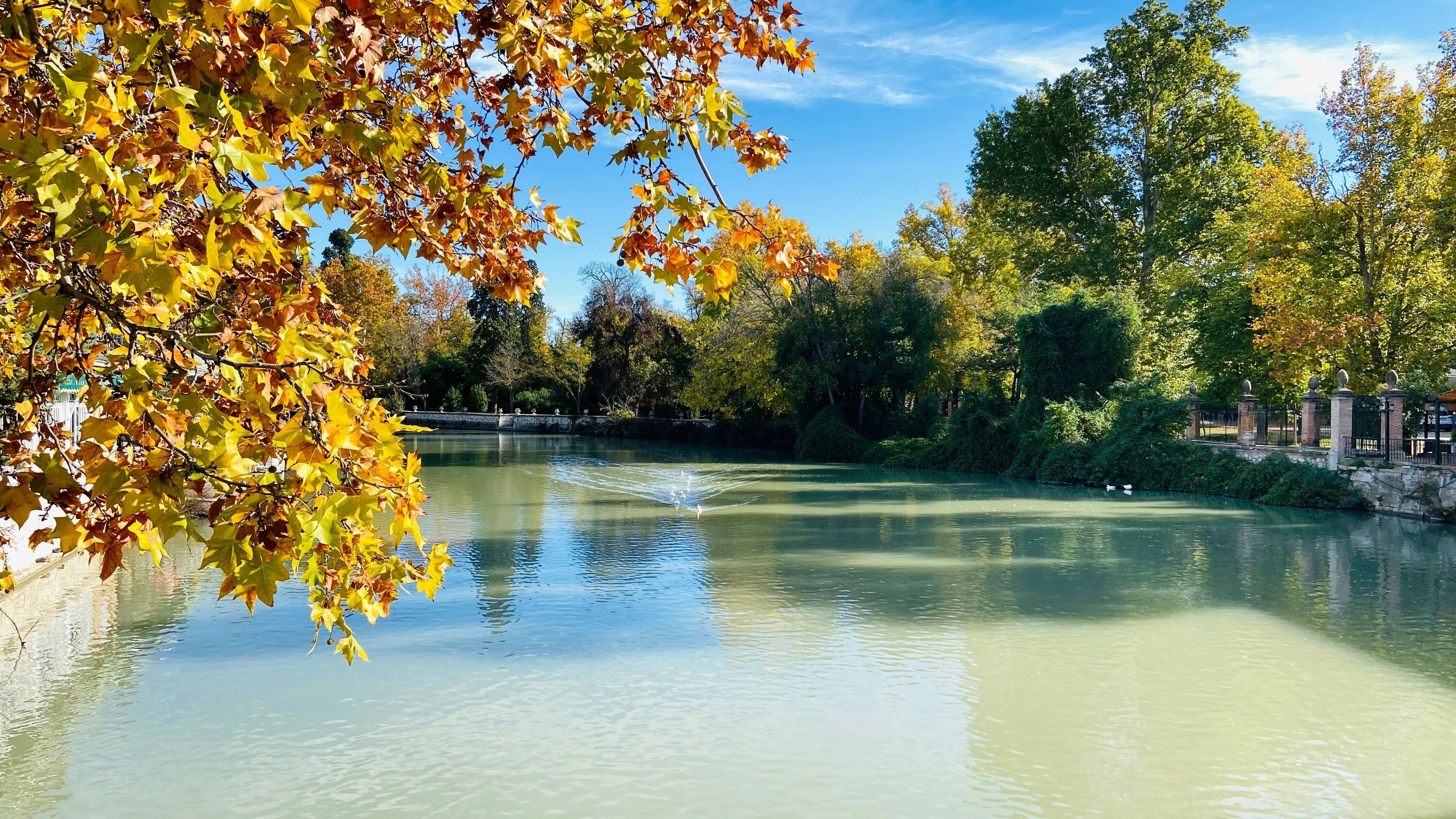 R&iacute;o Tajo en Aranjuez. Shutterstock