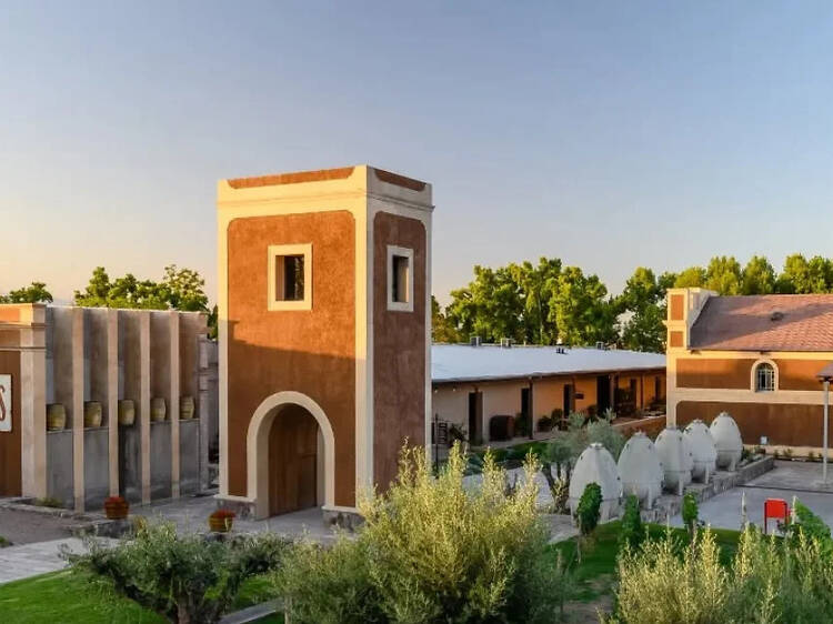 Bodega Los Toneles – Arte urbana, vino patrimonial en pleno Mendoza Bodega Los Toneles – Arte urbana, vino patrimonial en pleno Mendoza