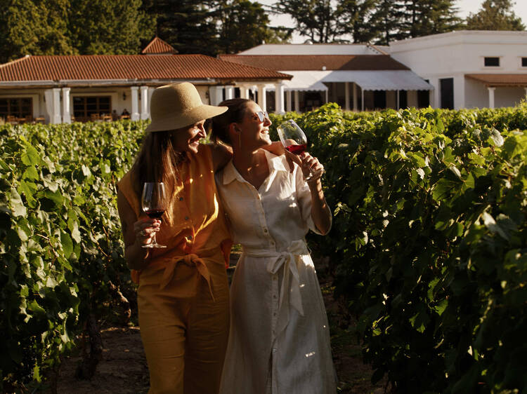 Nieto Senetiner - Tradición viva entre los viñedos de Vistalba Nieto Senetiner - Tradición viva entre los viñedos de Vistalba