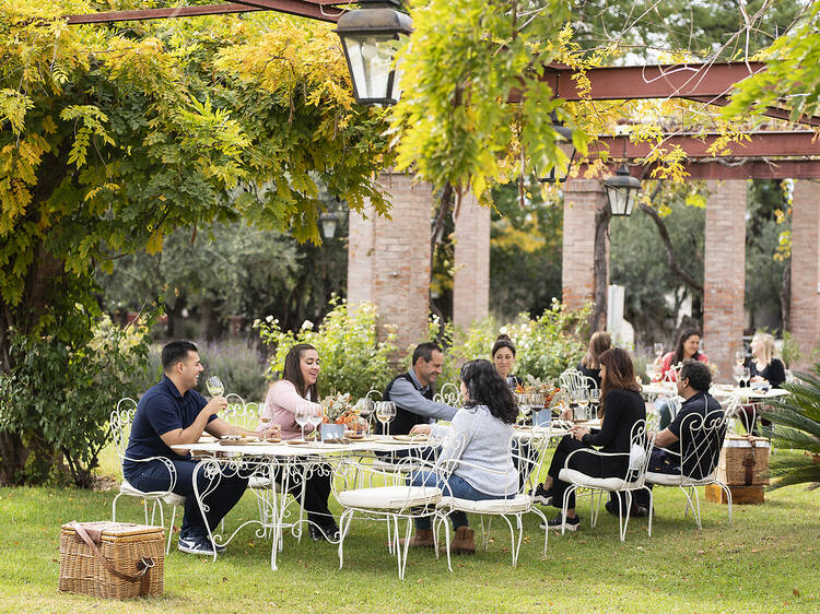 Alta Vista - Elegancia patrimonial entre viñedos Alta Vista - Elegancia patrimonial entre viñedos