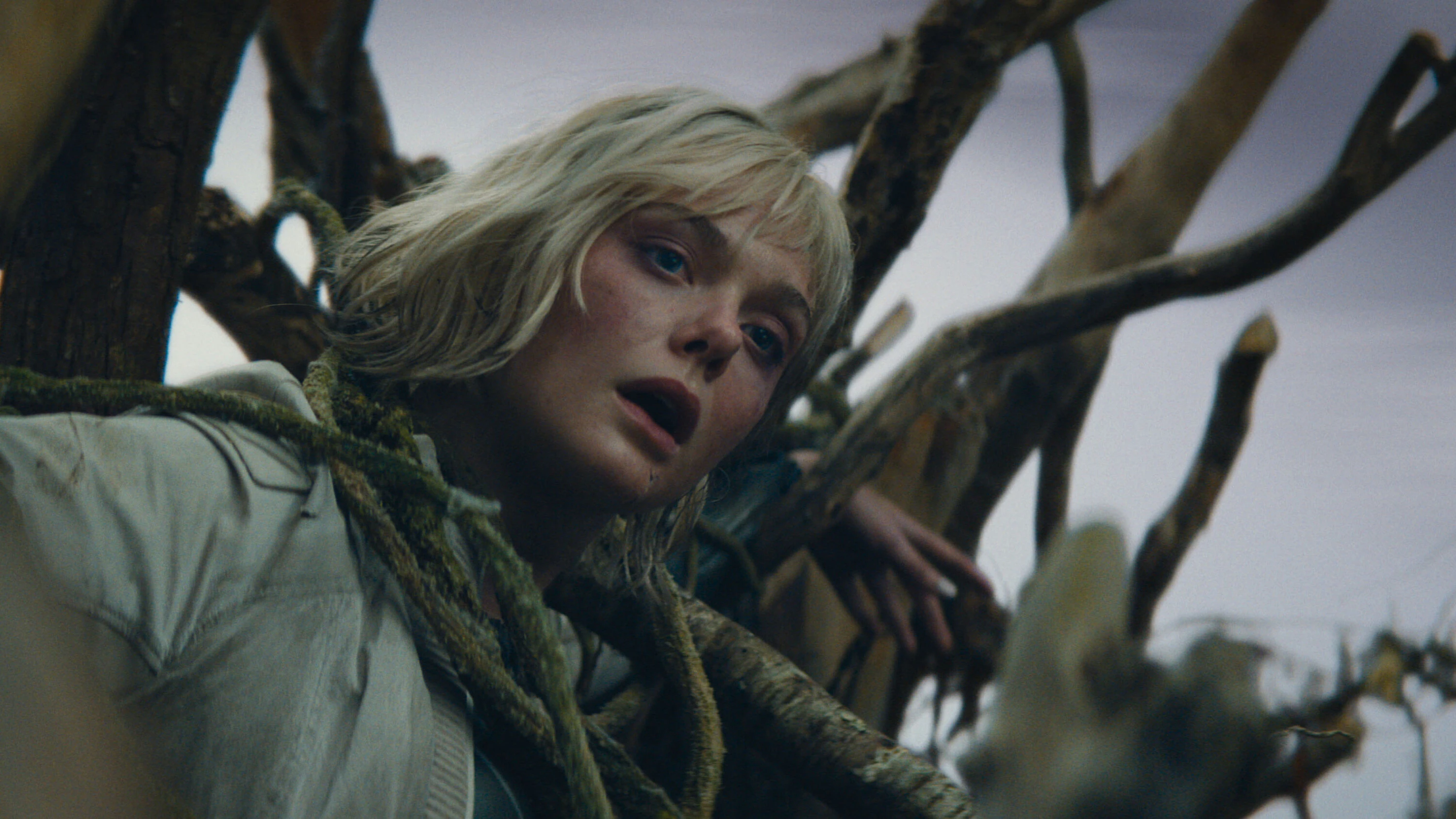  Dan Trachtenberg reinventa la saga Depredador con Tierras salvajes