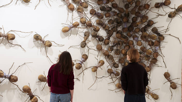 Wall covered in giant sculptures of ants 