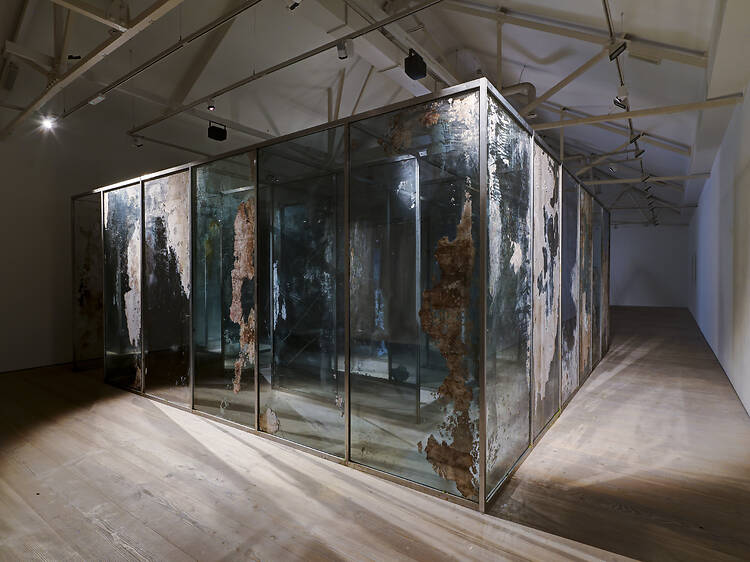 Saatchi Gallery