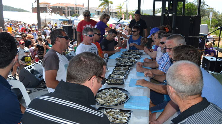 Brisbane Water Oyster Festival
