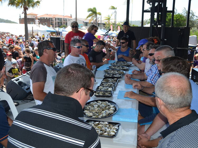 Brisbane Water Oyster Festival