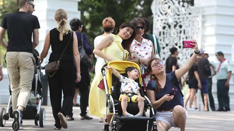 The Istana The Istana