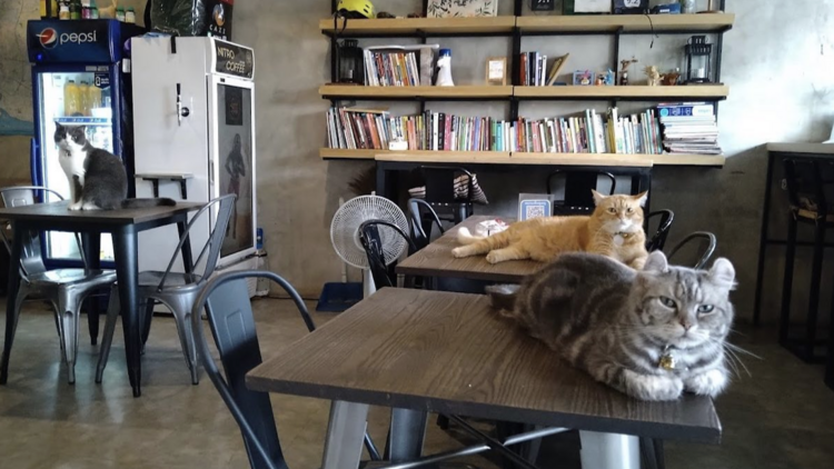 แหล่งที่พัก