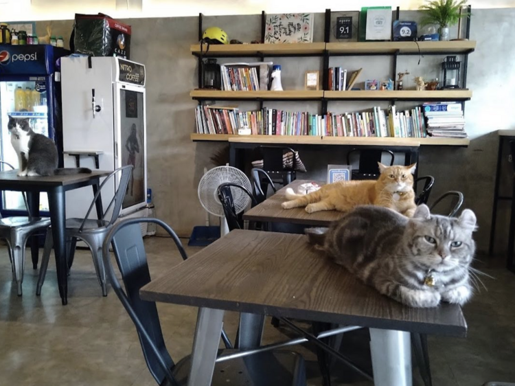 แหล่งที่พัก