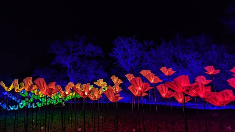 Christmas at Blenheim Palace