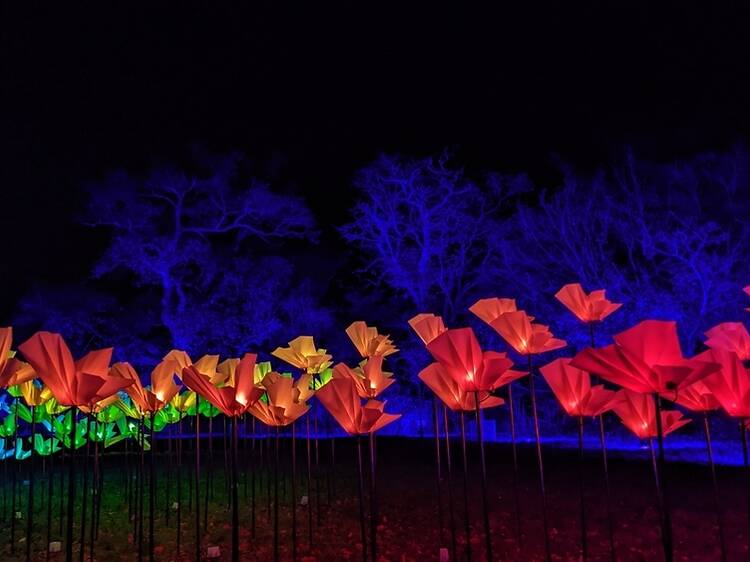 Christmas at Blenheim Palace