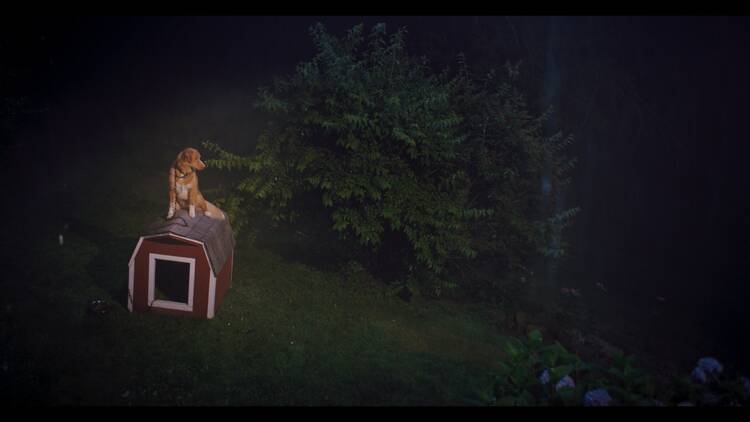 Good Boy – Fiel Até à Morte Good Boy – Fiel Até à Morte