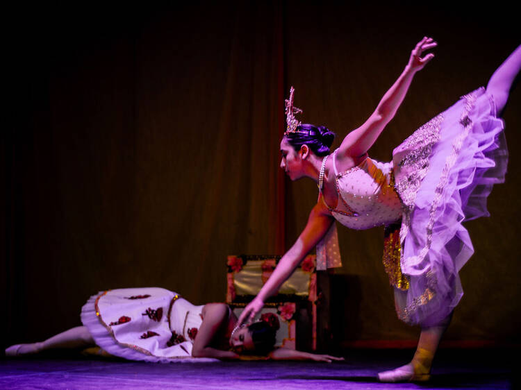 Tierra Ballet. El despertar de Flora Tierra Ballet. El despertar de Flora