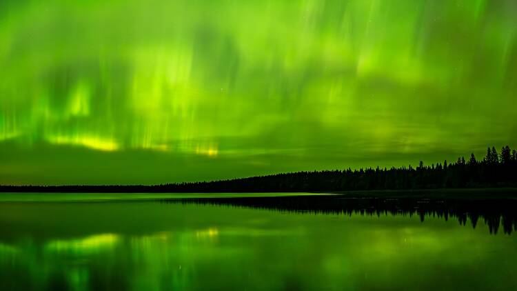 The Northern Lights will be visible for most of Canada tonight The Northern Lights will be visible for most of Canada tonight