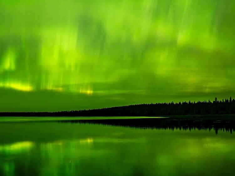 The Northern Lights will be visible for most of Canada tonight The Northern Lights will be visible for most of Canada tonight