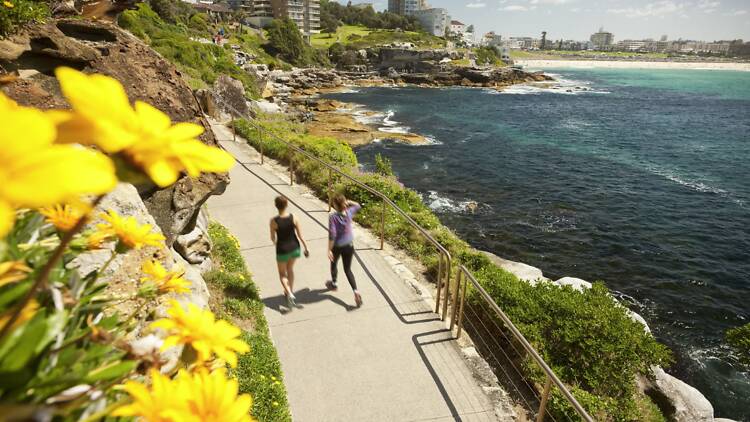 Bondi Aboriginal Walking Tours Bondi Aboriginal Walking Tours