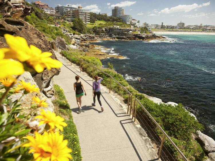 Bondi Aboriginal Walking Tours Bondi Aboriginal Walking Tours