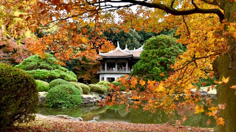 Shinjuku Gyoen National Park Shinjuku Gyoen National Park