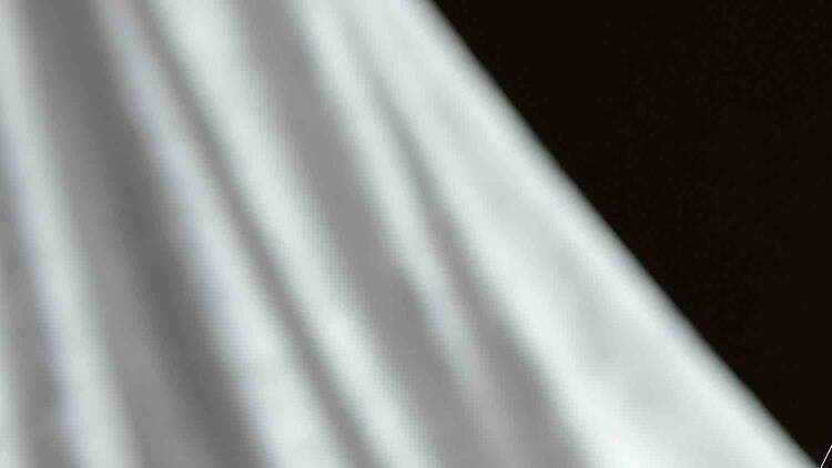 光の庭園演出「森のオーロラと東京雲海」