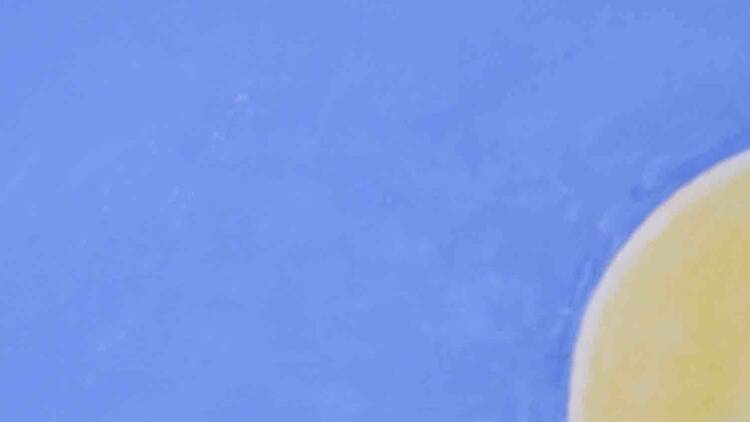 光の庭園演出「森のオーロラと東京雲海」