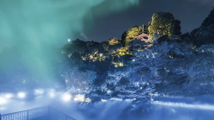 光の庭園演出「森のオーロラと東京雲海」