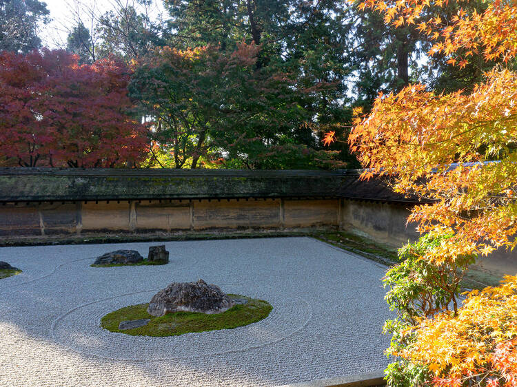 éå¯ã®åºã§éããæéã京éœã»æ¯å±±æ°Žæ£çã¬ã€ã éå¯ã®åºã§éããæéã京éœã»æ¯å±±æ°Žæ£çã¬ã€ã