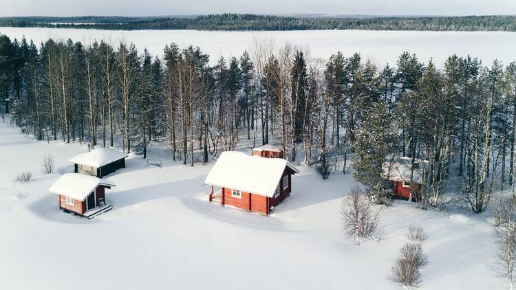 Sauna and dinner in the heart of the forest