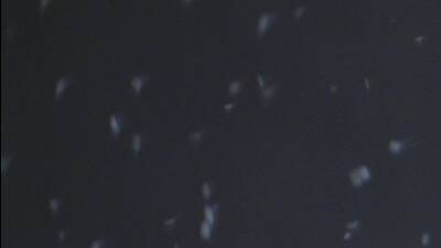 American Contemporary Ballet “The Nutcracker Suite” A dancer in American Contemporary Ballet’s “Nutcracker Suite.”