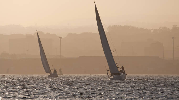 Sunset sailing 136508551