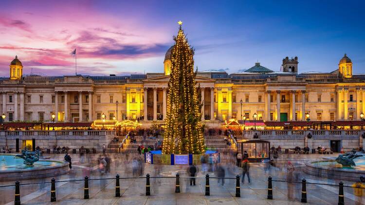 Christmas tree at Trafalgar Square, London Christmas tree at Trafalgar Square, London