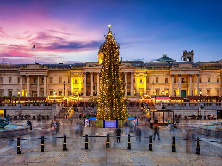 The exact date that the Trafalgar Square Christmas tree will arrive for the 2025 festive season The exact date that the Trafalgar Square Christmas tree will arrive for the 2025 festive season
