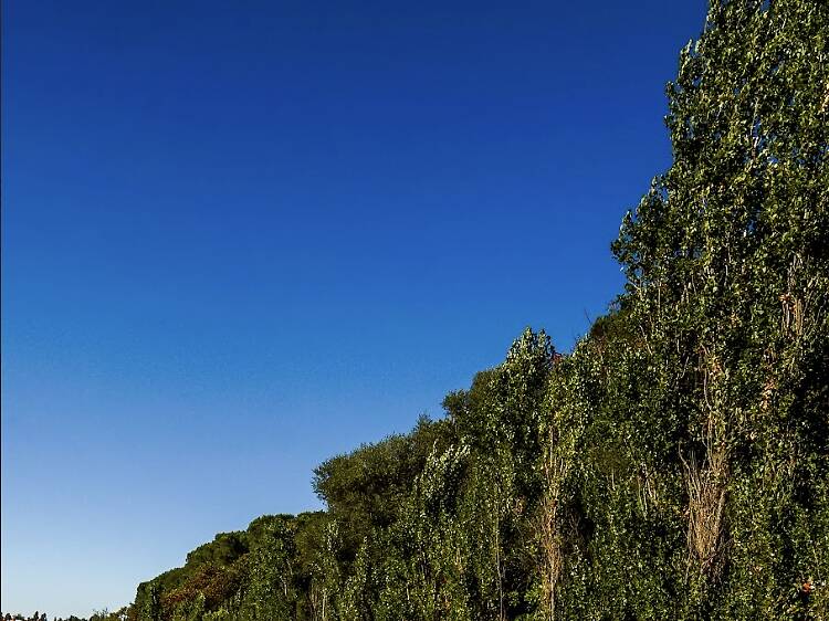 Parque Vale do Silêncio