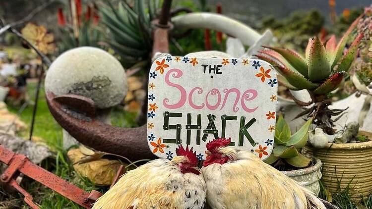 Hidden dining gems to explore in Cape Town