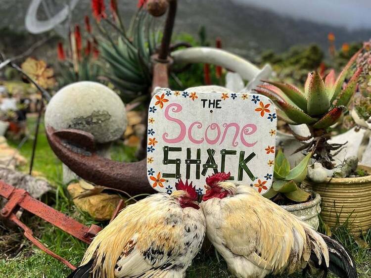 Hidden dining gems to explore in Cape Town