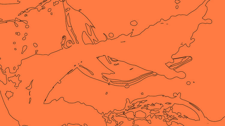 A Arca Eterna: Fernando Pessoa e a Posteridade