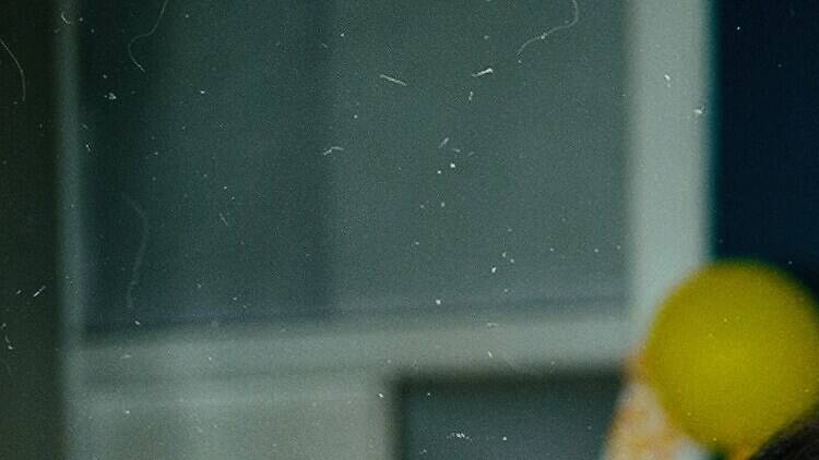 Os melhores filmes e séries portuguesas na HBO Max Os melhores filmes e séries portuguesas na HBO Max