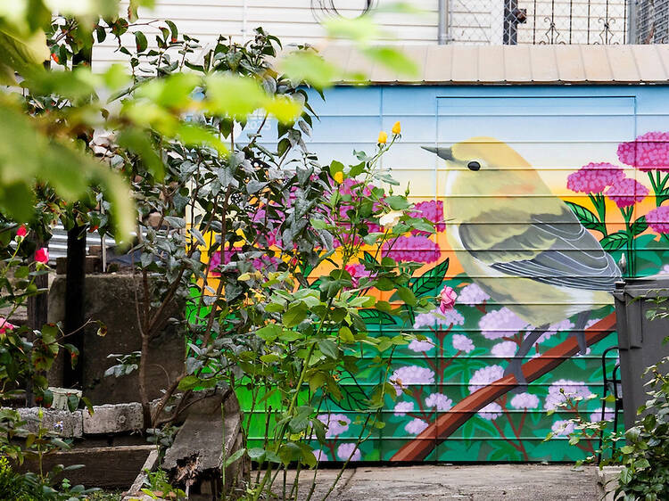 Check out 21 stunning new murals transforming NYC’s community gardens Check out 21 stunning new murals transforming NYC’s community gardens