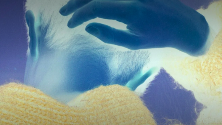 Geçit Çerçeve Geçit Çerçeve