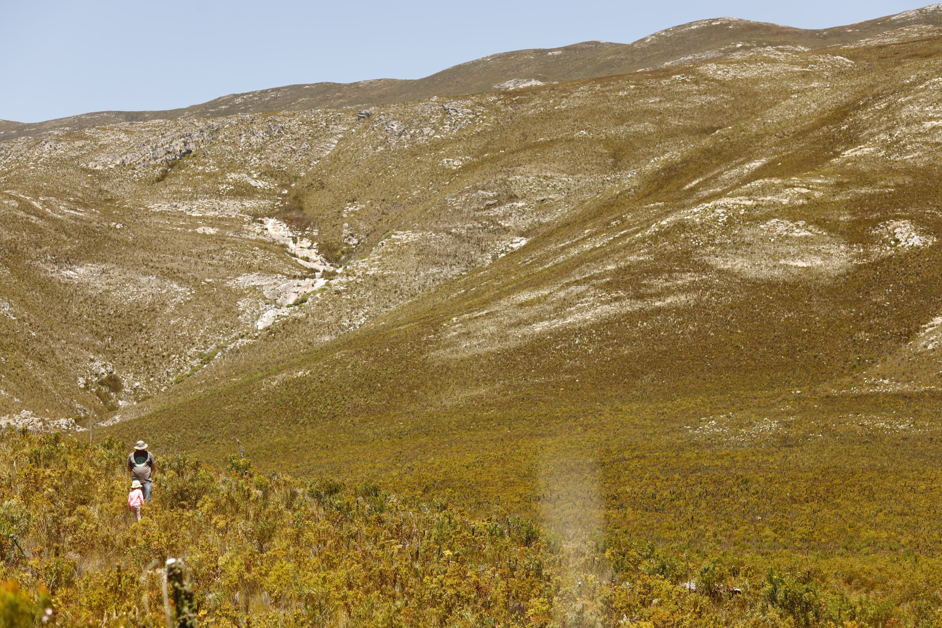 Western Cape gets a new nature reserve