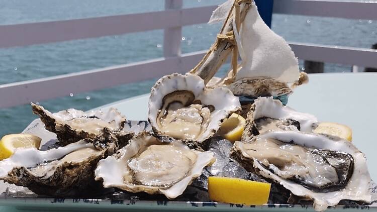 Delta de l'Ebre: visitar las mejilloneras
